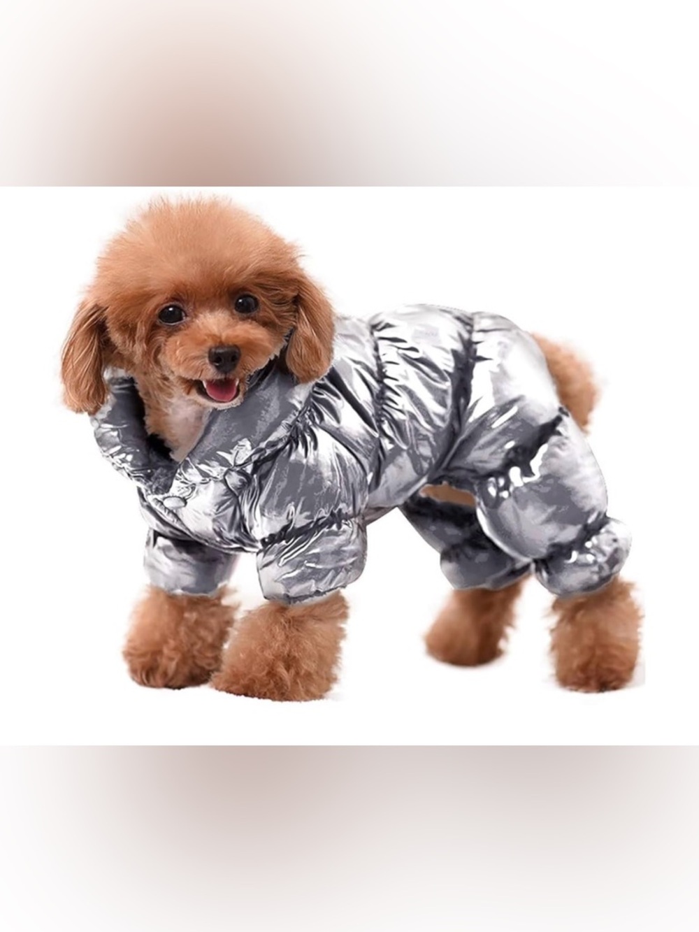 Dog winter coat